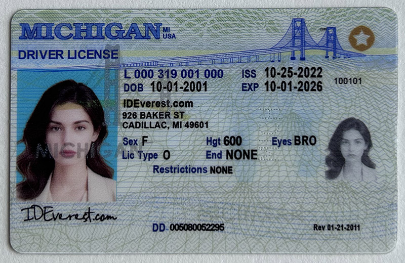 Michigan Fake ID